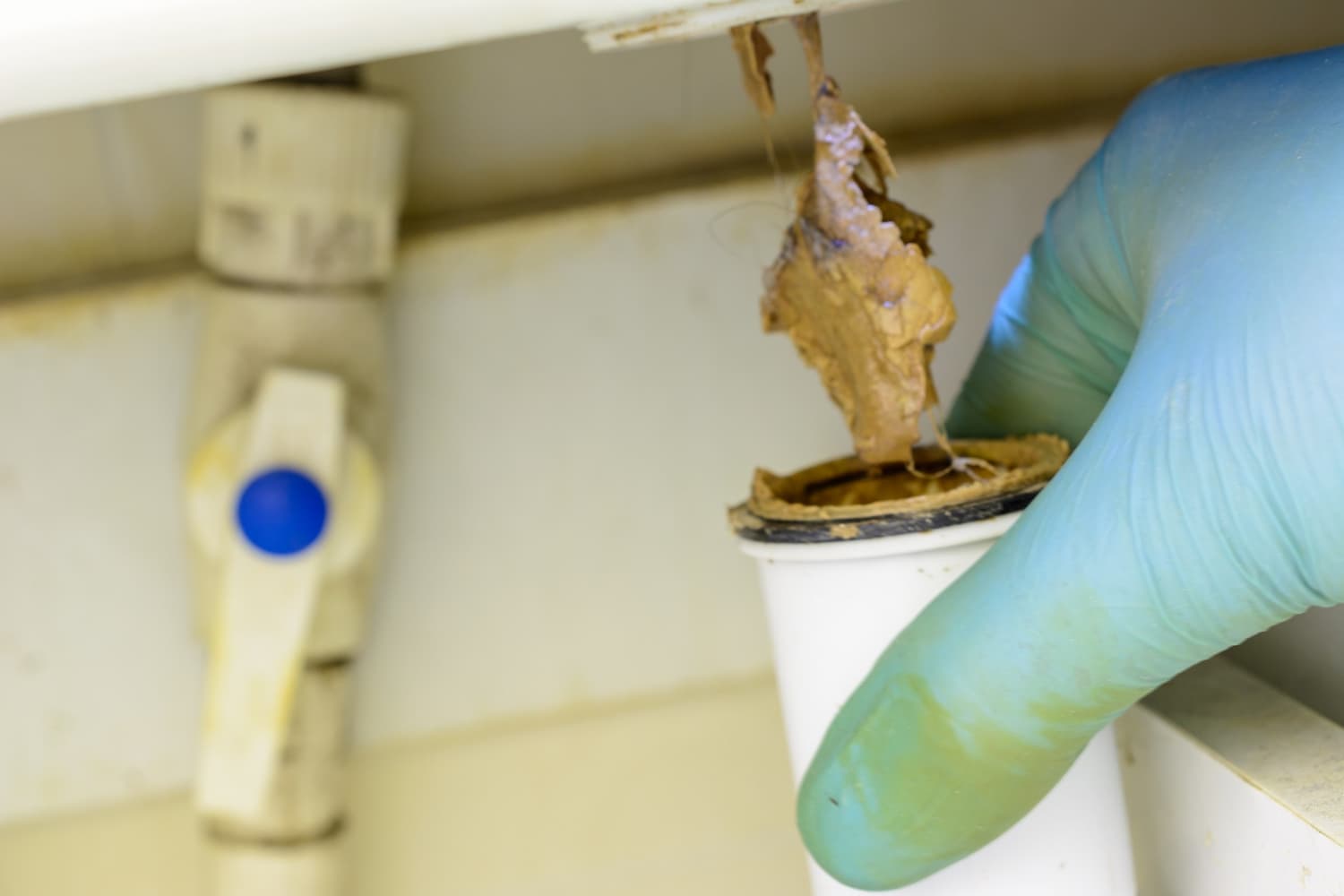 Everything You Need to Know About Blocked Drains